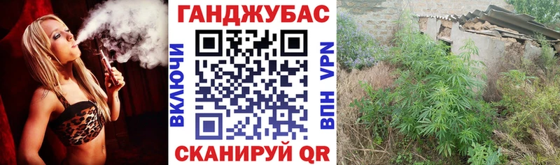 Купить Назрань Марихуана Amnesia